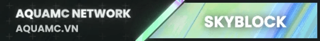 Server banner AQUAMC
