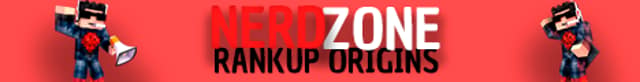 Server banner NERDZONE
