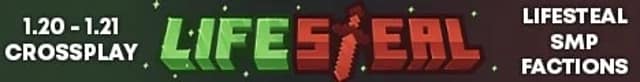 Server banner Lifesteal Network