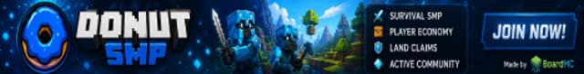 Server banner DonutSMP
