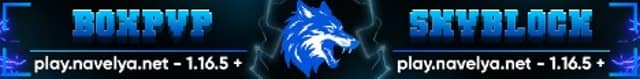 Server banner NAVELYA NETWORK