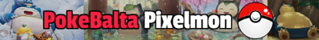 Server banner PokeBalta